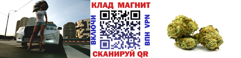 Магазин наркотиков Люберцы Канабис  КОКАИН  А ПВП  Псилоцибиновые грибы  БУТИРАТ  АМФ  ГАШИШ 