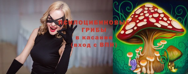 Альфа ПВП Алексин