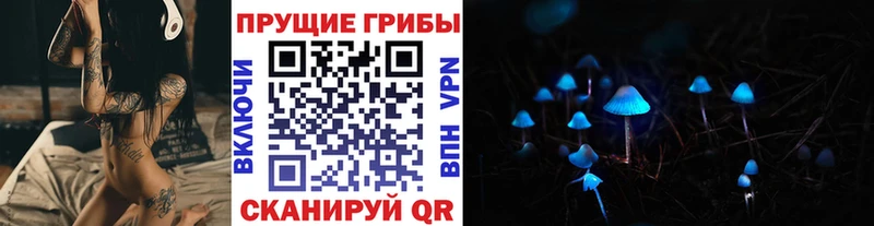 Псилоцибиновые грибы Psilocybe  Люберцы 